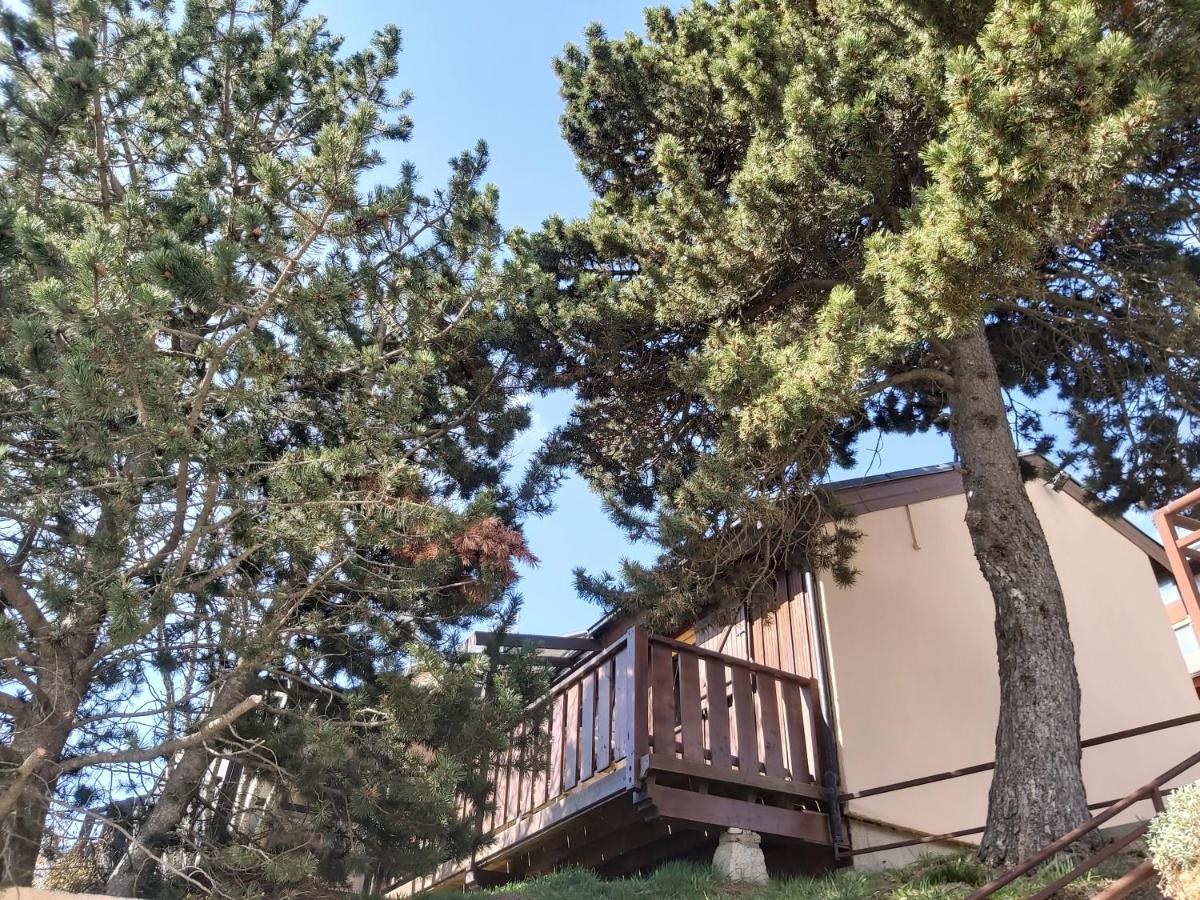 Chalet De L Ours Bolquere Pyrenees 2000 Exteriör bild